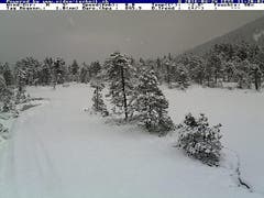 In Glaubenberg ist zur Mittagszeit klare Sicht und eine wundervoll verschneite Landschaft um das Gasthaus Schwendi-Kaltbad zu sehen. (Bild: www.loipe-langis.ch)