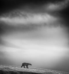 Finalist in der Kategorie "Reisen" (Bild: Wilfred Berthelsen)