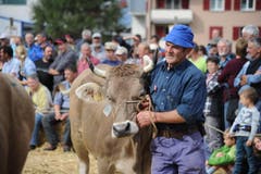 Impressionen von der Urner Grossviehschau in Altdorf. (Bild: Urs Hanhart)