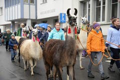 Bild: Robert Hess / Neue NZ