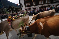 Bild: Urs Hanhart / Neue UZ