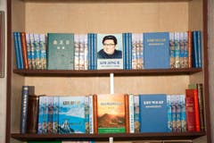 Ein Blick in ein Bücherregal. (Bild: Martin von den Driesch)