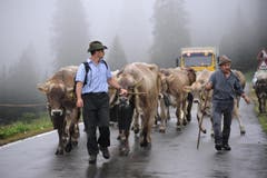 Unterwegs auf der «Boodäfaart» aus dem Klausengebiet auf den Urnerboden. (Bild: Urs Hanhart/Neue UZ)