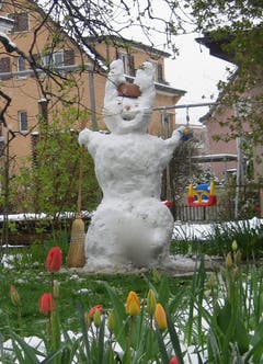 Schnee-Oster-Hase, aufgenommen in Kriens. (Bild: Simon Kaiser)