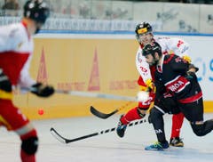 Bild: Stefan Kaiser (Neue ZZ)