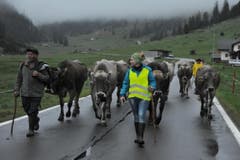Unterwegs auf der «Boodäfaart» aus dem Klausengebiet auf den Urnerboden. (Bild: Urs Hanhart/Neue UZ)