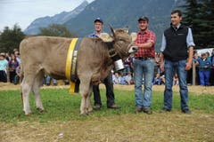 Der neue OB-Rinder-Champion Maedi mit Toni und Theo Kempf aus Attinghausen. (Bild: Urs Hanhart)