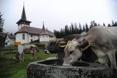 Unterwegs auf der «Boodäfaart» aus dem Klausengebiet auf den Urnerboden. (Bild: Urs Hanhart/Neue UZ)