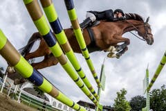 Pascal Bucher aus Retschwil auf Cayman Athletic CH an den Pferdesporttagen am Freitag, 15. Juli 2016 in Dagmersellen. (Bild: Philipp Schmidli)