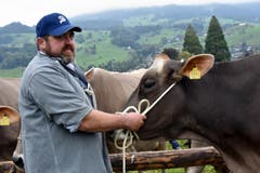 Schöne Kühe, stolze Besitzer. (Bild: Romano Cuonz)