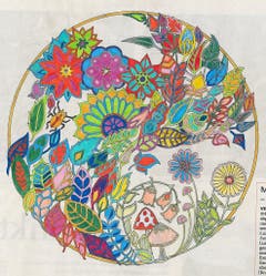 Bild: Daniel Muri, Kriens
