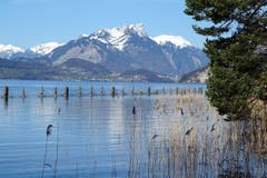 Ausblick auf den Thunersee und das Stockhorn. Aufgenommen im Naturschutzgebiet Weissenau-Neuhaus in Unterseen. (Bild: Bruno Ringgenberg)