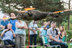Orville, nun unterwegs als Orvillecopter, braust durch Bern. (Bild: Keystone)