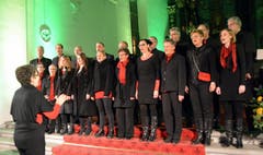 Cantus Vocal-Ensemble unter der Leitung von Elfriede von Rotz. (Bild: Romano Cuonz / Neue NZ)