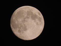 Super Vollmond, aufgenommen auf dem Sonnenberg in Kriens. (Bild: Leser Martin Züst)