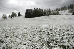 Aeschiried BE (Bild: Keystone)