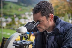 Der Tierarzt diagnostiziert einen Tumor. (Bild: Boris Bürgisser)