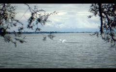 Videostandbilder vom Hochwasser am Bodensee 19.Juni 2016 (Bild: Michel Canonica (Michel Canonica))