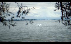 Videostandbilder vom Hochwasser am Bodensee 19.Juni 2016 (Bild: Michel Canonica (Michel Canonica))