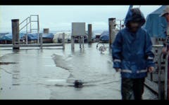 Videostandbilder vom Hochwasser am Bodensee 19.Juni 2016 (Bild: Michel Canonica (Michel Canonica))