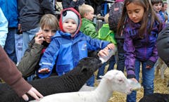 Ein besonderer Spass: Das Schöppelen von Lämmern. (Bild: Hanspeter Schiess)