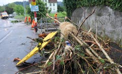 Angeschwemmtes Gestrüpp in Kradolf. (Bild: Nana do Carmo)