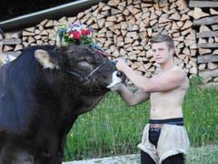 Der Freiburger Markus ist 22 Jahre alt. Er ist Landwirt und bewirtschaftet zurzeit eine Alp mit 80 Rindern im Stockental. (Bild: www.bauernkalender.ch)