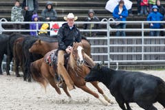 Wildwest-Stimmung an der Olma. (Bild: Michel Canonica)