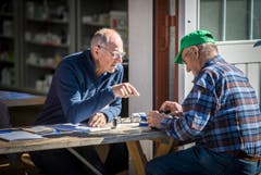 Versteigerung Alppferde Ulrich K. (Bild: Reto Martin)