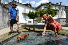 Eine Frau und ein Hund kühlen sich in einem Brunnen im bündnerischen Grono ab. (Bild: Keystone)