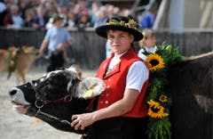Aus Meistersrüte an die Olma: Jan Büchler mit Alegra. (Bild: Keystone)