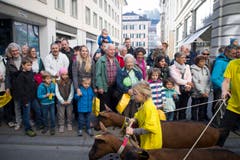 St. Gallen - Umzug Olma Olmaumzug durch die Stadt (Bild: Ralph Ribi)