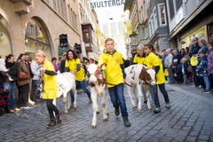 St. Gallen - Umzug Olma Olmaumzug durch die Stadt (Bild: Ralph Ribi)