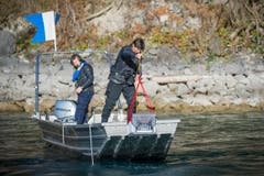 Polizeitaucher der Kantonspolizei St.Gallen während einer Einsatzübung am Walensee. Bei der Übung wird ein Kleinwagen versenkt und anschliessend geborgen (Bild: Urs Bucher)