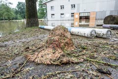 Verwüstung bei der Reitwiese in Wil. (Bild: Hanspeter Schiess)