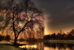 Am Alten Rhein. (Bild: Toni Sieber)