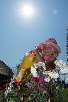 Auch die Blumen haben Durst. (Bild: Keystone)