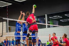 Volley Amriswil : Perugia Champions League Hinspiel (Bild: Andrea Stalder)