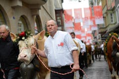 Solthurner Landwirtschaft mit Kühen und Schafen (Bild: Ralph Ribi)