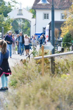Kartause Ittingen (Bild: Donato Caspari)