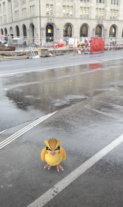 Ein Taubsi auf dem Bahnhofsplatz in St.Gallen. (Bild: Screenshot)