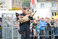 Polizeihunde-Vorführung an der Wega. (Bild: Donato Caspari)