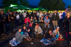 OpenAir Frauenfeld 2014 (Bild: Urs Jaudas)
