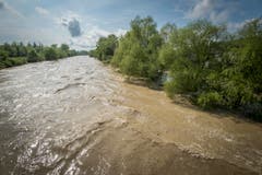 Hochwasser auf der Thur: In Uesslingen trat der Fluss bereits über die Ufer. (Bild: Reto Martin)