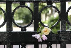 Blumen vor dem Palast im Gedenken an Prinz Johan Friso. (Bild: Keystone)