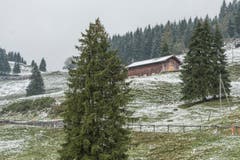 Erster Schnee auf der Fahrt Urnäsch, Chräzerli, Schwägalp. (Bild: Hanspeter Schiess)
