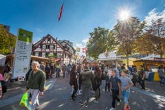 Wega 2015 (Bild: Reto Martin)