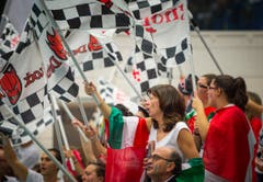 Volley Amriswil : Perugia Champions League Hinspiel (Bild: Andrea Stalder)