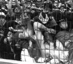 Erdrückt, zerquetscht, zu Tode getrampelt: Die Tragödie im Fanblock des Hillsborough-Stadions nimmt ihren Lauf. (Bild: Keystone)