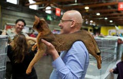 Die vierbeinigen Lieblinge werden an der Animalia auf Händen getragen. (Bild: Ralph Ribi)
